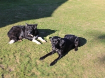 Accommodation-Dorking-Surrey-Bed-Breakfast-Hotel-Room-Gatwick-Airport-Exclusive-Quality-Country-Quiet-Peaceful-112