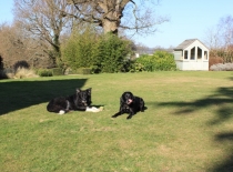 Accommodation-Dorking-Surrey-Bed-Breakfast-Hotel-Room-Gatwick-Airport-Exclusive-Quality-Country-Quiet-Peaceful-113