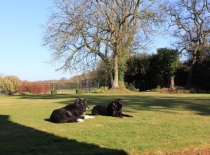 Accommodation-Dorking-Surrey-Bed-Breakfast-Hotel-Room-Gatwick-Airport-Exclusive-Quality-Country-Quiet-Peaceful-115