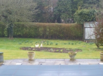 Accommodation-Dorking-Surrey-Bed-Breakfast-Hotel-Room-Gatwick-Airport-Exclusive-Quality-Country-Quiet-Peaceful-136